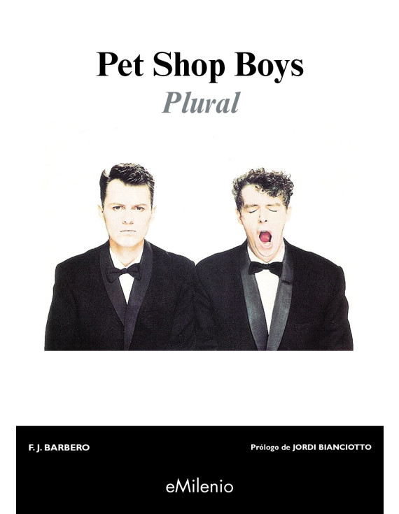 Pet Shop Boys (epub)
